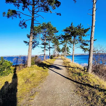 Semesterbostad 4 Star In Jægerspris